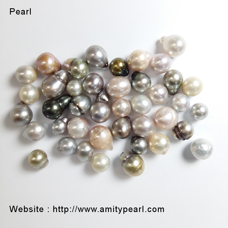 South Sea Loose Pearl | Amity Pearl 